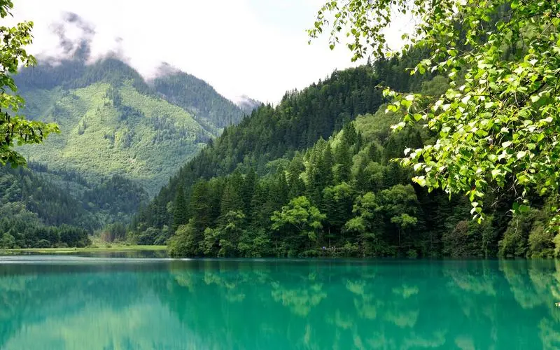高端高标准